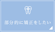 部分的に矯正をしたい